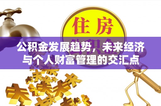 新宾公积金发展趋势，未来经济与个人财富管理的交汇点