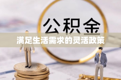 新宾满足生活需求的灵活政策