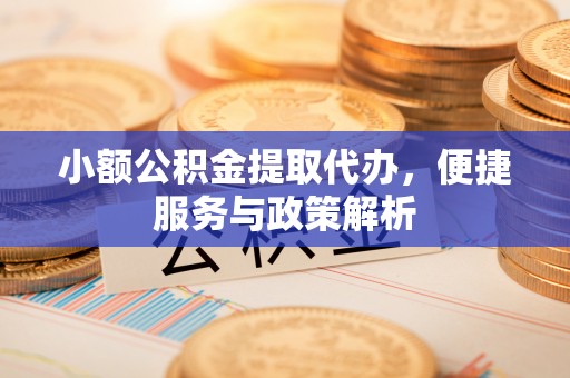 新宾小额公积金提取代办，便捷服务与政策解析