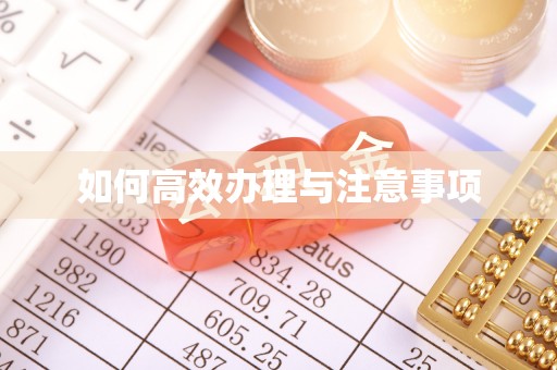 新宾如何高效办理与注意事项