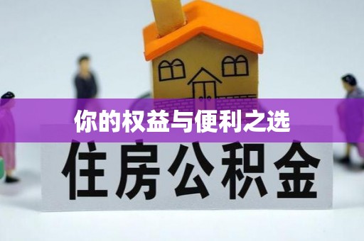 新宾你的权益与便利之选