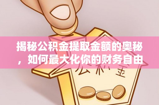 新宾揭秘公积金提取金额的奥秘，如何最大化你的财务自由