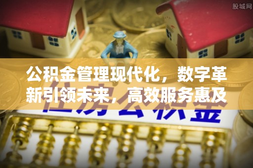 新宾公积金管理现代化，数字革新引领未来，高效服务惠及民生