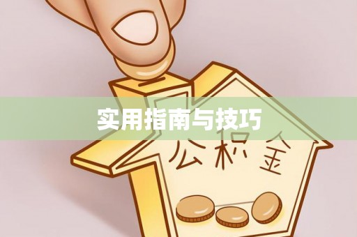 新宾实用指南与技巧