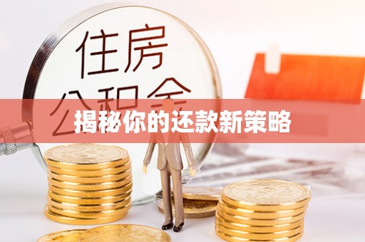 新宾揭秘你的还款新策略