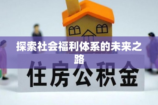 新宾探索社会福利体系的未来之路