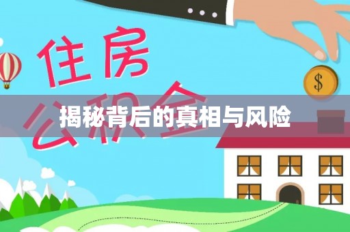 新宾揭秘背后的真相与风险