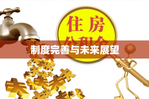 新宾制度完善与未来展望