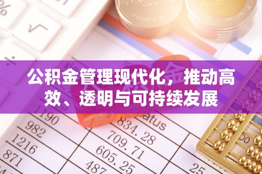 新宾公积金管理现代化，推动高效、透明与可持续发展