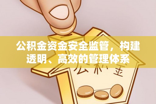 新宾公积金资金安全监管，构建透明、高效的管理体系
