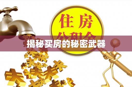 新宾揭秘买房的秘密武器