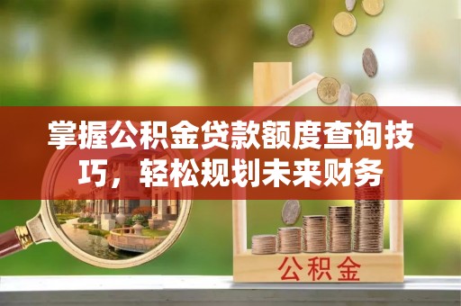 新宾掌握公积金贷款额度查询技巧，轻松规划未来财务