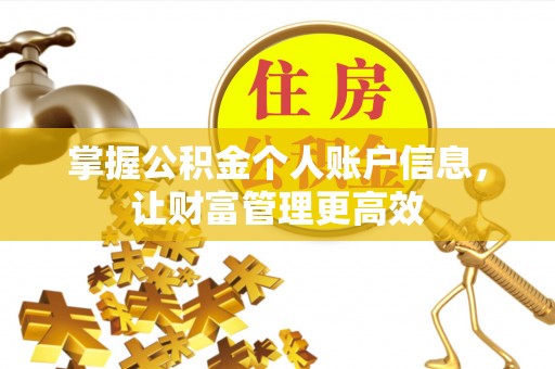 新宾掌握公积金个人账户信息，让财富管理更高效