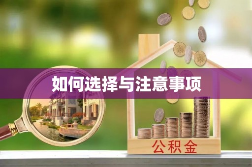 新宾如何选择与注意事项