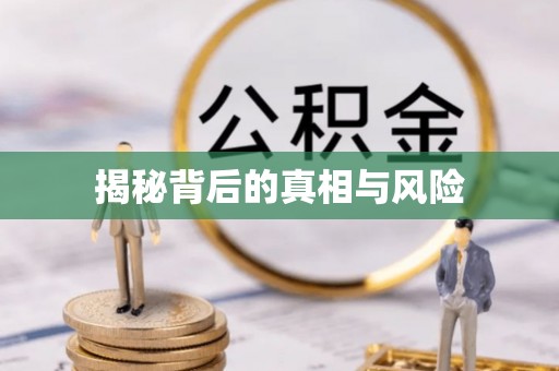 新宾揭秘背后的真相与风险