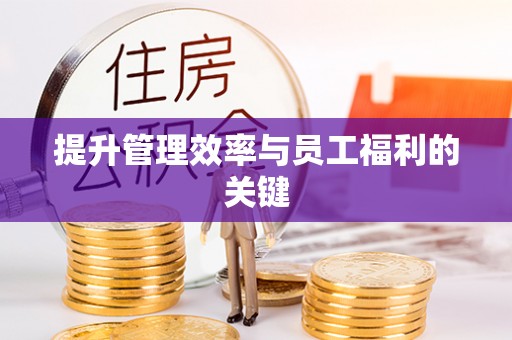 新宾提升管理效率与员工福利的关键