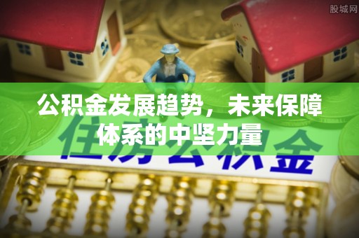新宾公积金发展趋势，未来保障体系的中坚力量