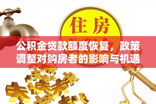 新宾公积金贷款额度恢复，政策调整对购房者的影响与机遇