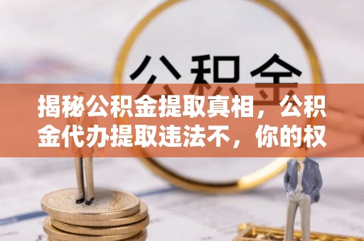新宾揭秘公积金提取真相，公积金代办提取违法不，你的权益如何保障？