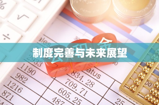 新宾制度完善与未来展望