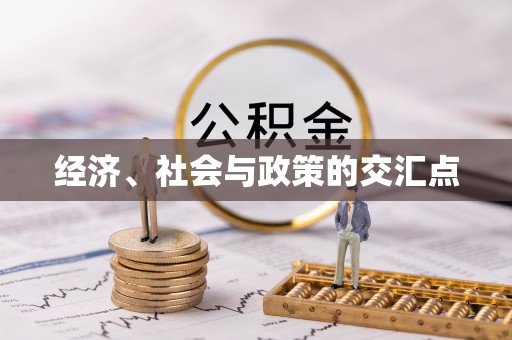 新宾经济、社会与政策的交汇点