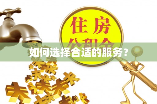 新宾如何选择合适的服务？