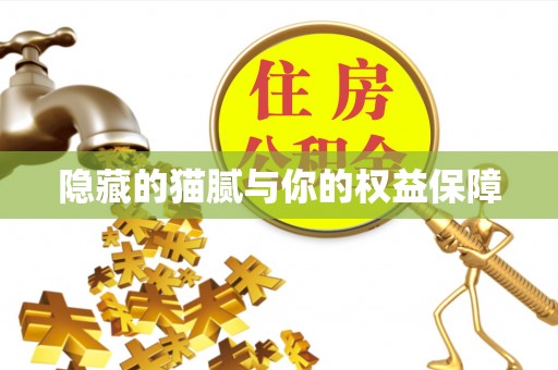 新宾隐藏的猫腻与你的权益保障