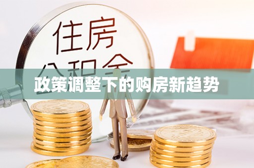 新宾政策调整下的购房新趋势