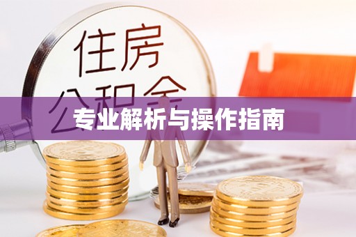 新宾专业解析与操作指南