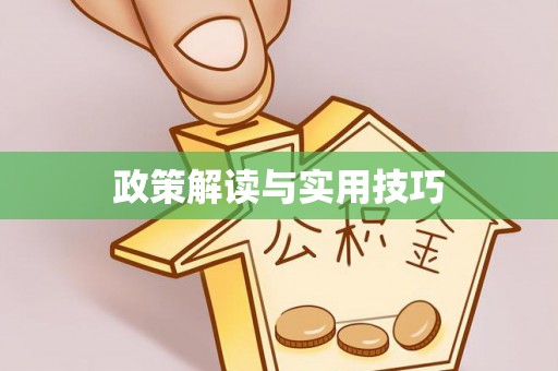新宾政策解读与实用技巧