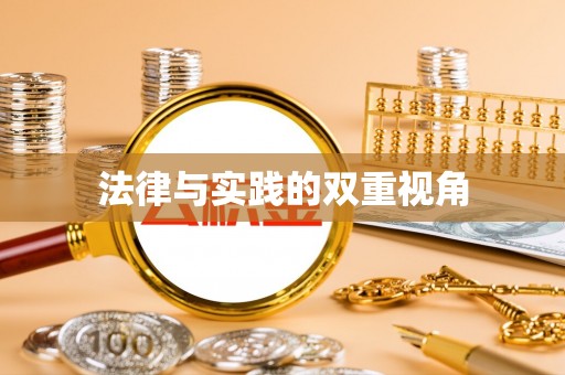 新宾法律与实践的双重视角