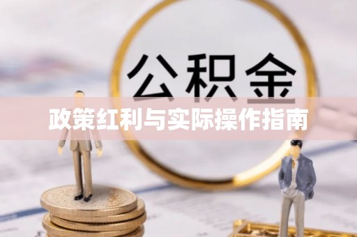 新宾政策红利与实际操作指南