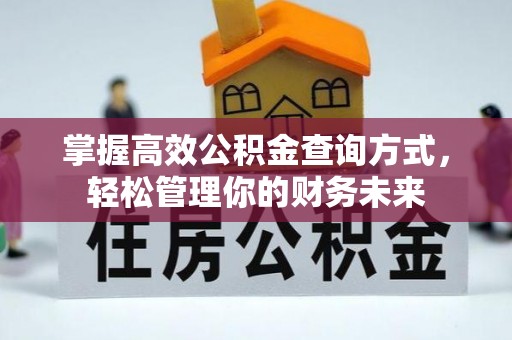 新宾掌握高效公积金查询方式，轻松管理你的财务未来