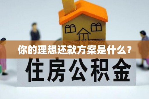 新宾你的理想还款方案是什么？