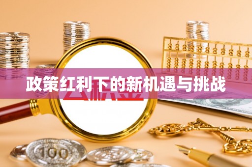新宾政策红利下的新机遇与挑战