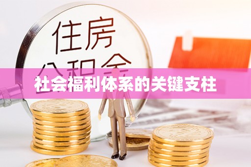 新宾社会福利体系的关键支柱