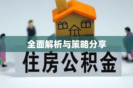 新宾全面解析与策略分享