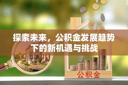 新宾探索未来，公积金发展趋势下的新机遇与挑战