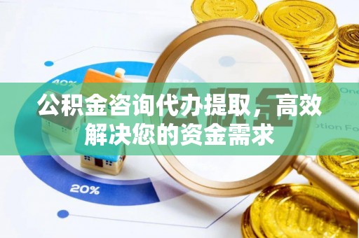 新宾公积金咨询代办提取，高效解决您的资金需求
