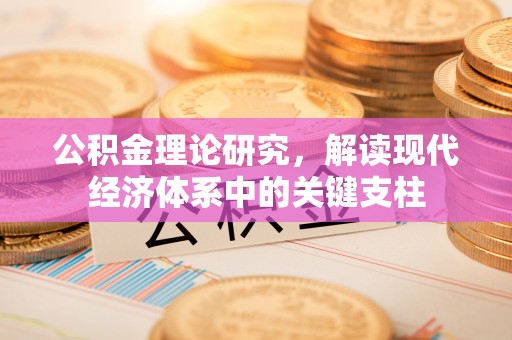 新宾公积金理论研究，解读现代经济体系中的关键支柱