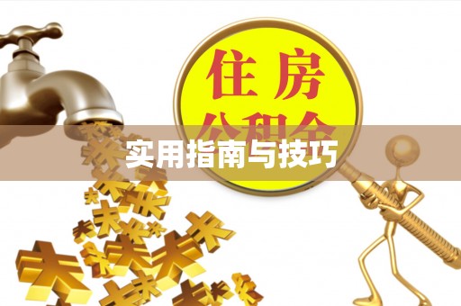 新宾实用指南与技巧