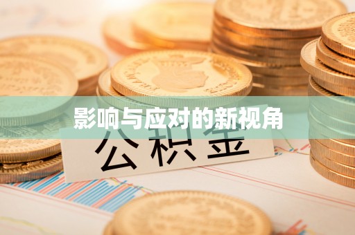 新宾影响与应对的新视角