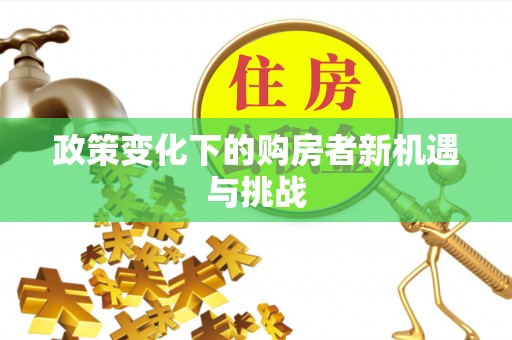 新宾政策变化下的购房者新机遇与挑战