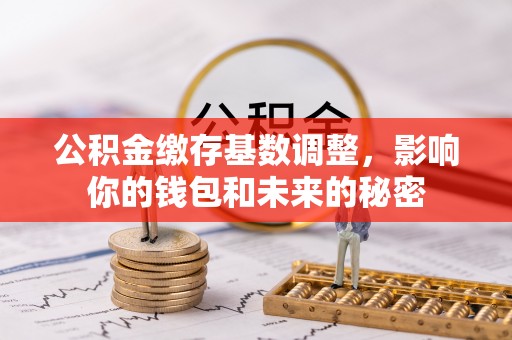 新宾公积金缴存基数调整，影响你的钱包和未来的秘密