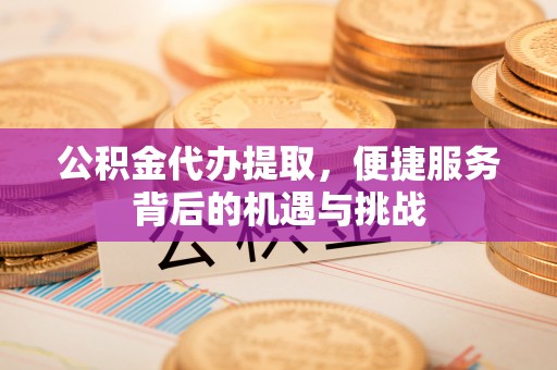 新宾公积金代办提取，便捷服务背后的机遇与挑战