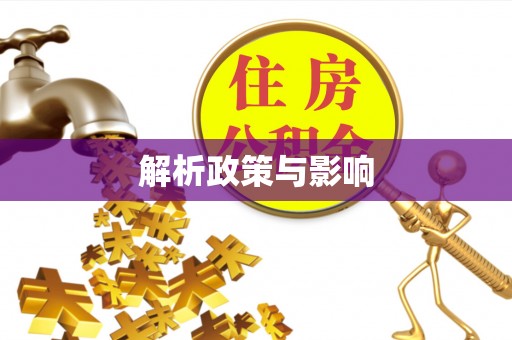 新宾解析政策与影响