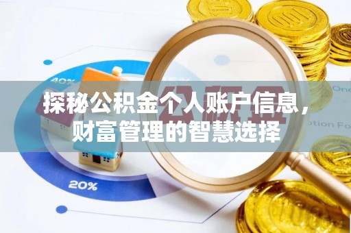 新宾探秘公积金个人账户信息，财富管理的智慧选择