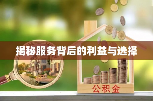 新宾揭秘服务背后的利益与选择
