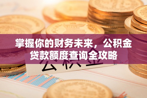 新宾掌握你的财务未来，公积金贷款额度查询全攻略