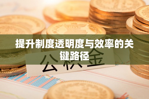 新宾提升制度透明度与效率的关键路径